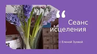 Исцеление и омоложение организма: встреча с Еленой Зуевой