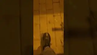 мы нашли шайлушая!!! #мем #прикол #шутка  #приколчики #смех