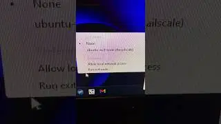 Run Tailscale Exit node on Windows