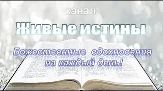Трейлер канала 