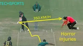 Worst Umpires Hit by Ball in Cricket History | UMPIRE INJURIES | Cricket Umpires Hit By Ball
