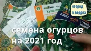 Семена огурцов на 2021 год.