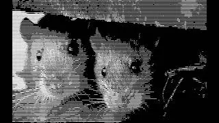 GAMBI x HEUSS Type Beat "MOUSES"