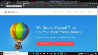 Wordpress Use and introduction