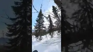 Шерегеш - сноубордист едет