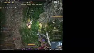 Black Desert бьем Банку на Хп