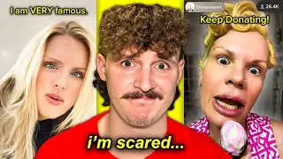 The 
