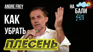 Как избавится от плесени на Бали
