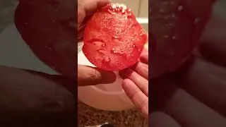 Japanese. Tomato. Dacha as a hobby.