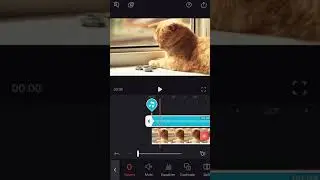 Enlight Videoleap: How to Fade Sound In/Out with Videoleap