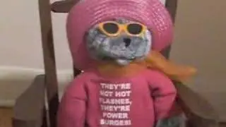 Teddy Bear 64