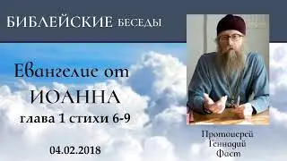 4. Gospel of John, Chapter 1, Verses 6-9. Archpriest Gennady Fast 02/04/2018