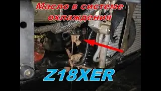 Опель с ДВС  Z18XER масло в системе охлаждения. Ужас.