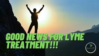 Hygromycin A for Lyme Disease