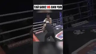 Красивые движения не спасли: Муай Тай разбил фаната Ип Мана 