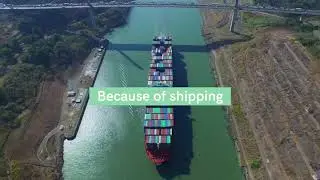 World Shipping Council 