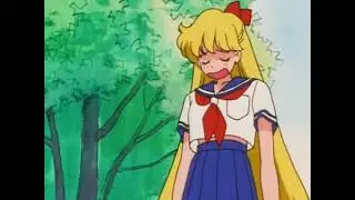 Sailor Venus wants her Knight