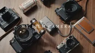 My Film Cameras
