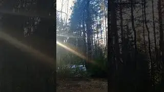Ничего на свете лучше нееету... 🌲🌍 