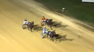 NEWCASTLE - 04/05/2016 - Race 1 - STANDING START [Trial]