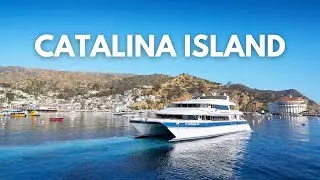 Catalina Island: Best Things To Do In Catalina Island 2024