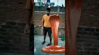 #snake #viral #trending #vfxshorts 🚩🔥