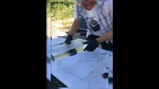 ICE Art #shorts