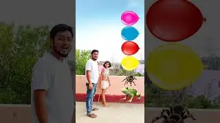 Insects name new funny vfx magic | Kinemaster editing | Ayan mechanic