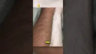5 IMÁGENES INTERESANTES…