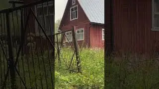 Способы, применимые для безопасности вашего участка. #профзаборы #безопасностьучастка