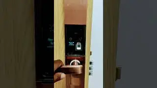 smart door lock finger print and password operated by battery beautiful design