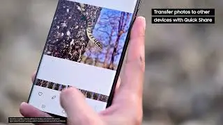 Galaxy S22 Series 5G: Wildlife Photography with Expert RAW | Samsung