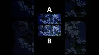A or B 