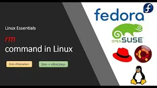 COMANDO RM-R EN LINUX | ELIMINACION DE TODO DENTO DE UN DIRECTORIO