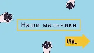 26 июня 2023 г.