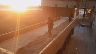 загрузка полувагона с вкладышем зерном .