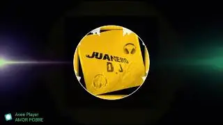 CHICHA MIX LOS MEJORES MOVIDITOS