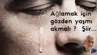 AĞLAMAK İÇİN GÖZDEN YAŞMI AKMALI...ŞİİR(Victor Hugo)
