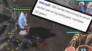 Starcraft 2 Pro reveals his Strategy in Twitch Chat before the Match