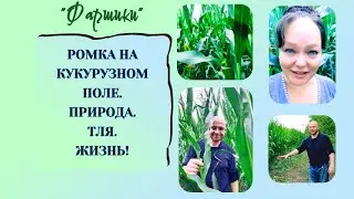 РАК МОЗГА. АФАЗИЯ. РОМКА В КУКУРУЗНОМ ПОЛЕ. ПРИРОДА. ЖИЗНЬ #онкология #ракмозга #афазия #позитив