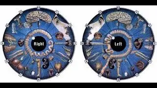 What is IRIDOLOGY What does IRIDOLOGY mean IRIDOLOGY meaning, definition & explanation