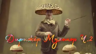 МИКРОДОЗИНГ ПАНТЕРНОГО МУХОМОРА…