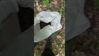 продолжение