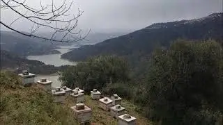 intro nezga matoub.L