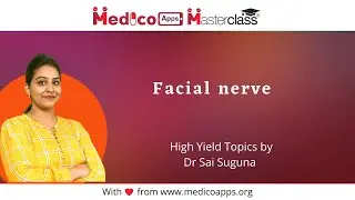 Facial nerve