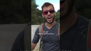 Exploring Wai-O-Tapu in New Zealand reminds us of Yellowstone National Park! 