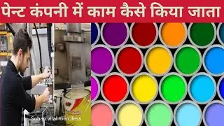 पेन्ट कंपनी में काम कैसे किया जाता है | Automatic machine | paint company | Paint factory