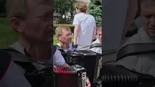Мимо этой вишни... 🍒