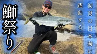 【ショアブリ釣行】北海道にもブリの季節がやってきた！