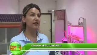 Tarımda led uygulaması